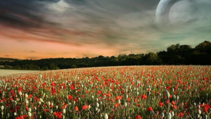 为什么有些人不喜欢春晚提到饺子？!